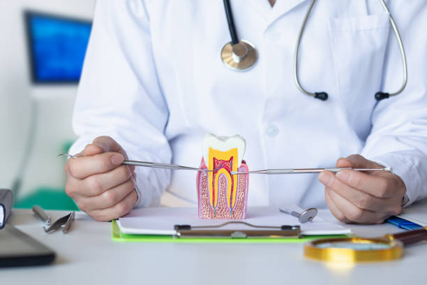 Best Emergency Dental Care for Broken or Chipped Teeth in Southwest Sandhill, TX